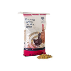 Bird Feed Treats: Scratch and Lay Mix 10kg