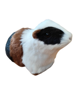 For Humans: Guinea Pig Toy