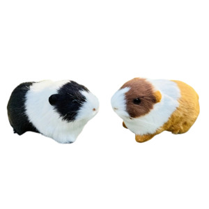Guinea Pig Toy Small
