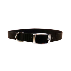 Dog: Nylon S/Layer 20mm x 55cm Collar
