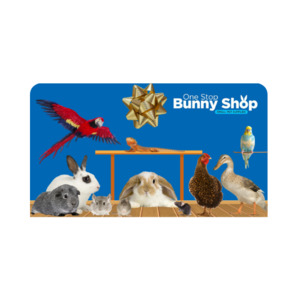 Gify Ideas: One Stop Bunny Shop Gift Card