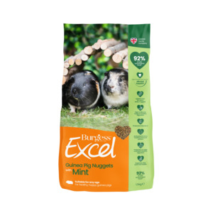 Discounted Stock: Burgess Excel Adult Guinea Pig Nuggets with Mint 10kg
