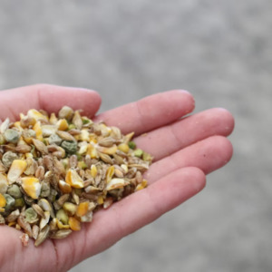 Supa Assorted Grains 20kg