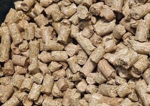 Mistys Mischief Rat Lab Blocks 1.2kg