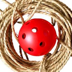 Seagrass Rope/Wiffle Toy Kit