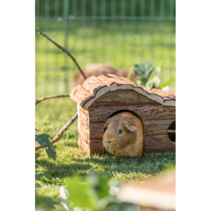 Guineapig Enrichment Toys: Wooden House Hanna 31x19x19cm