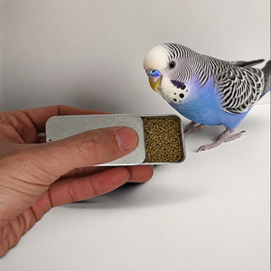 Training Bird Feeding Push-Pull Box