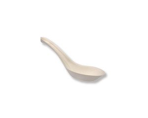 Chinese Spoon