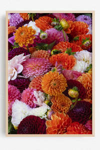 Flowers In Full Bloom: Kinship of Colour