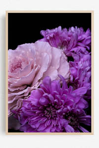 Flowers In Full Bloom: The Tender Accord