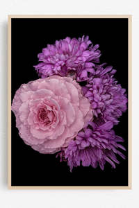 Flowers In Full Bloom: Where the Colours Meet