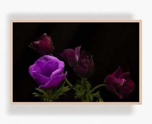 Flowers In Full Bloom: What Remains