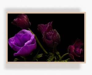 Flowers In Full Bloom: Held by the Dark