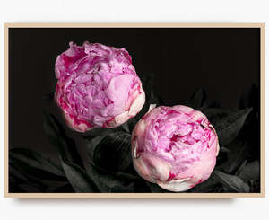 Flowers In Full Bloom: Soft Rebellion