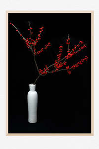 Dark And Moody Blooms: Silent Conversation