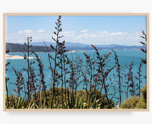 New Zealand Landscape Images: Harbour's Edge