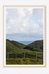 New Zealand Landscape Images: Awhitu Surf and Turf