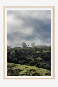 New Zealand Landscape Images: When the Mist Clears
