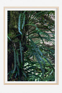 New Zealand Landscape Images: Untouched Beauty