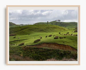 New Zealand Landscape Images: A Slice of Farm Life