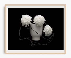 Favourite Blooms: At the Cutting Edge