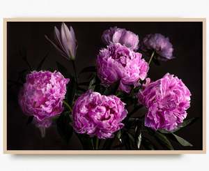 Favourite Blooms: Sweet Peony