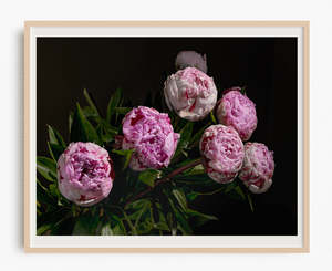 Favourite Blooms: A Budding Interest