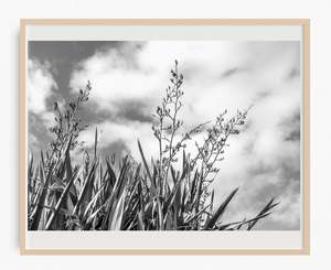 Monochrome Moment: Harakeke High Rise