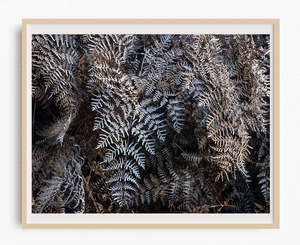 Monochrome Moment: Hiding in the Undergrowth