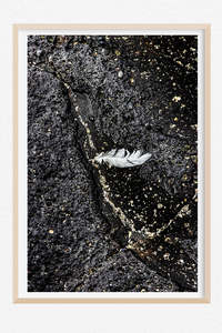 Monochrome Moment: Connection - Limited Edition