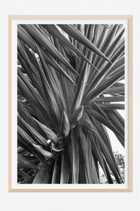 Monochrome Moment: Expect the Unexpected