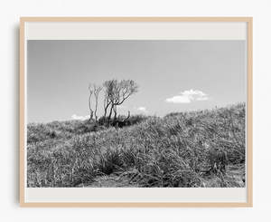 Muriwai Sand Dunes Noir