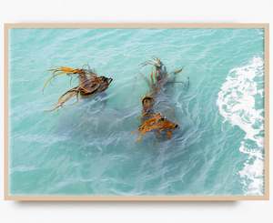 Contemporary Neon Wall Art Nz: Bull Kelp Pirouette - Limited Edition