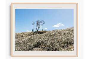 Muriwai Beach Landscape Photography: Muriwai Sand Dunes Pastel