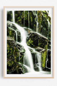 Karangahake Gorge Nz Wall Art: Rock Solid