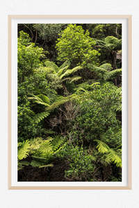 Karangahake Gorge Nz Wall Art: Gone Bush