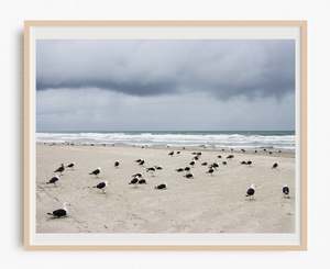Best Selling Wall Art: Batten Down the Hatches