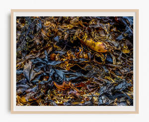 Best Selling Wall Art: High and Dry - Limited Edition