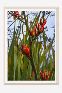 Best Selling Wall Art: Wild Fire - Limited Edition