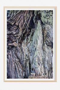 Rockstar Collection: Stand Your Ground - Limited Edition