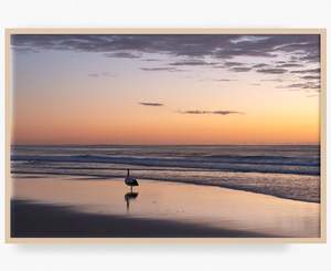 Surfing Wall Art Print: Dawn Patrol