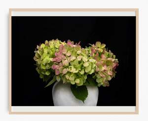 Classic Home Decor Wall Art Nz: Tickled Pink