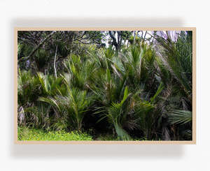 Guardians of Mt Tamahunga