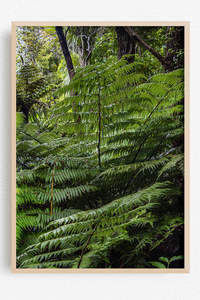 New Zealand Landscape Images: The Under Story