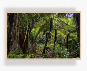 Slip Beneath the Canopy