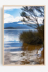 New Zealand Landscape Images: Coastal Note
