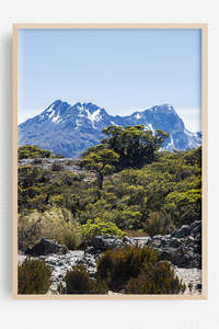 New Zealand Landscape Images: The Colour of High Places