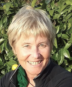 Products: Half My Life Live onetree-house