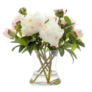 Peony in Water in Vase White