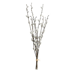 Pussy Willow 55cm Bundle of 3